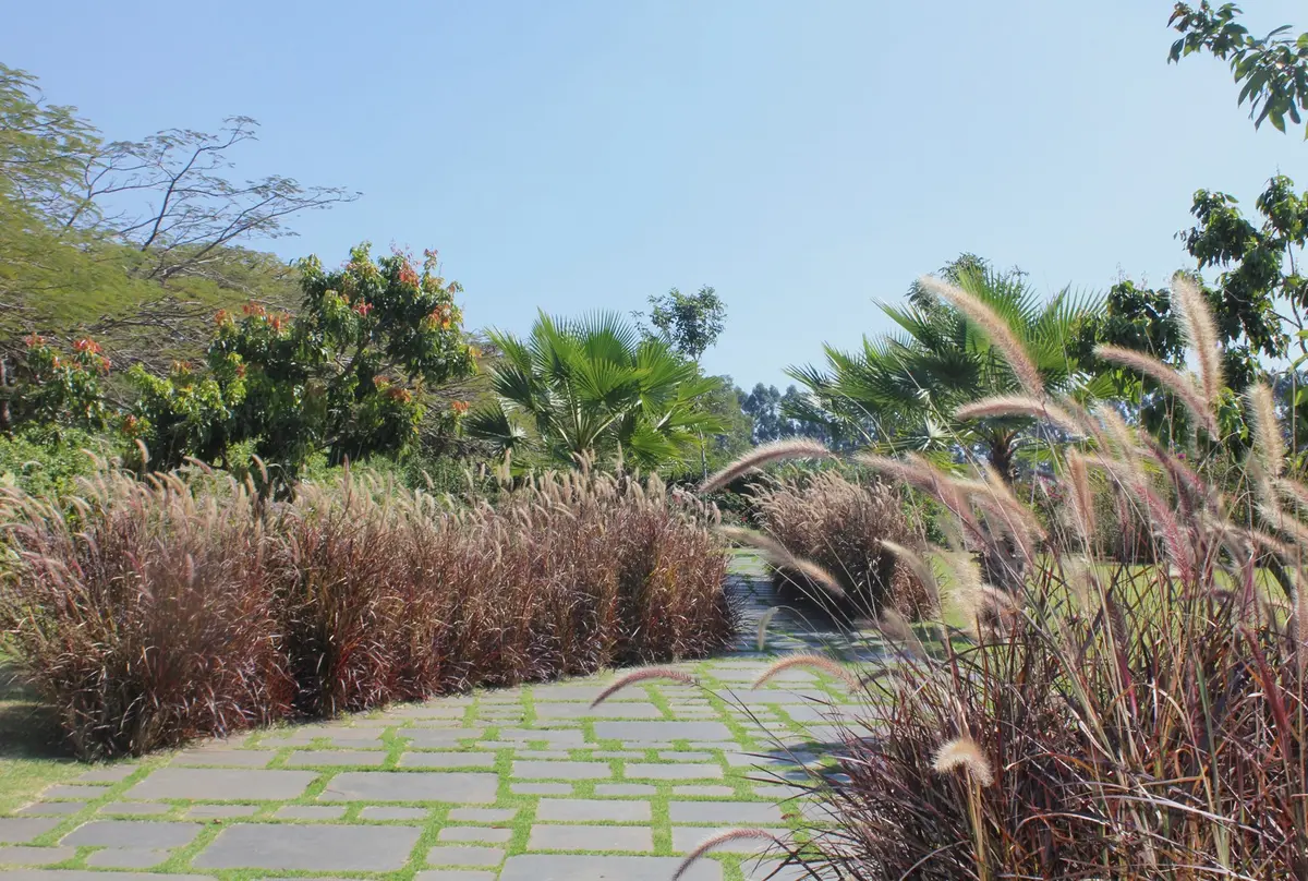 Jardín moderno con sendero de piedra y plantas ornamentales secas — proyecto Residência JY, por Gil Fialho