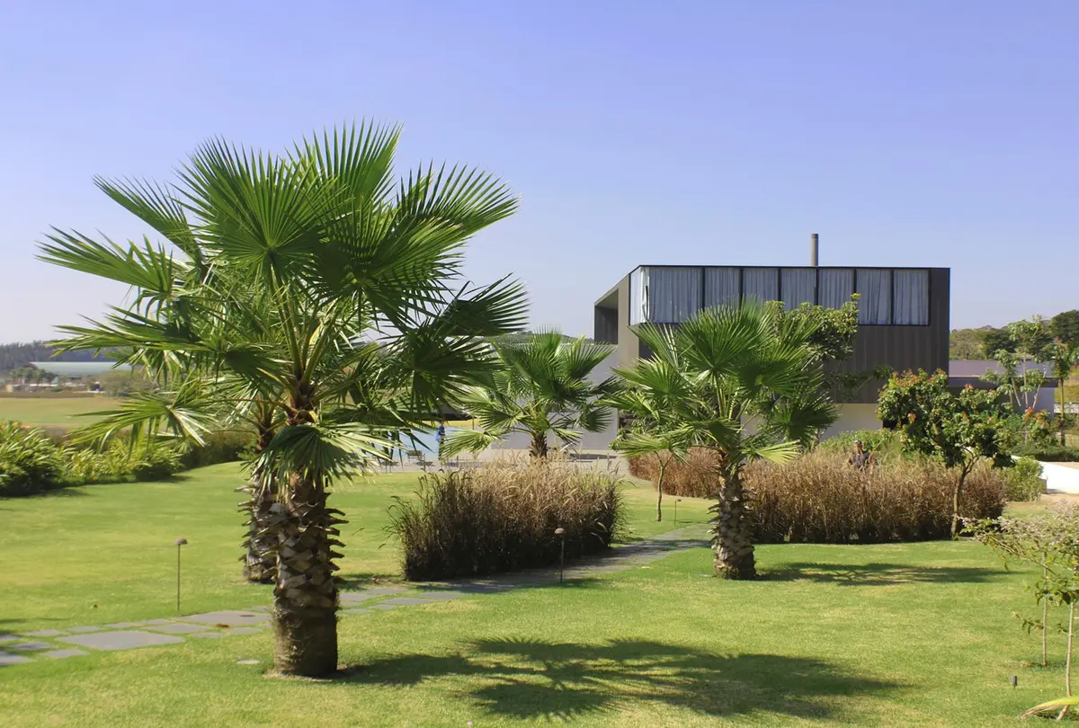 Casa moderna negra en jardín con palmeras y plantas ornamentales — proyecto Residência JY, por Gil Fialho