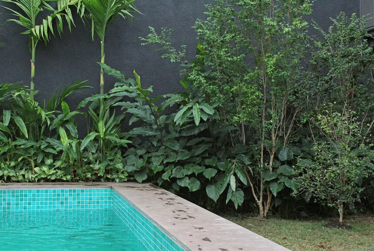 Patio con pileta turquesa, vegetación exuberante y muro gris oscuro — proyecto Residência MC, por Gil Fialho