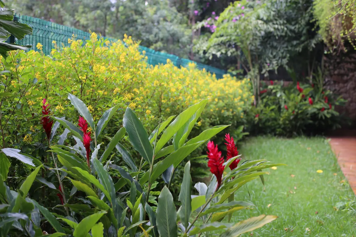 Jardin con flores rojas y plantas verdes, pasto y cerco azul fondo — proyecto Residência MP, por Gil Fialho