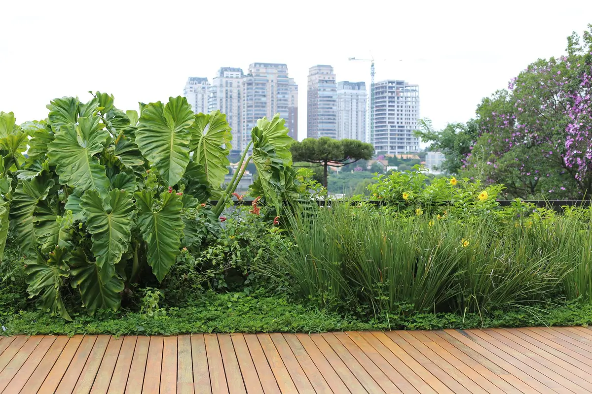 Terraza con deck de madera y jardin vertical frente a rascacielos — proyecto Residência MP, por Gil Fialho