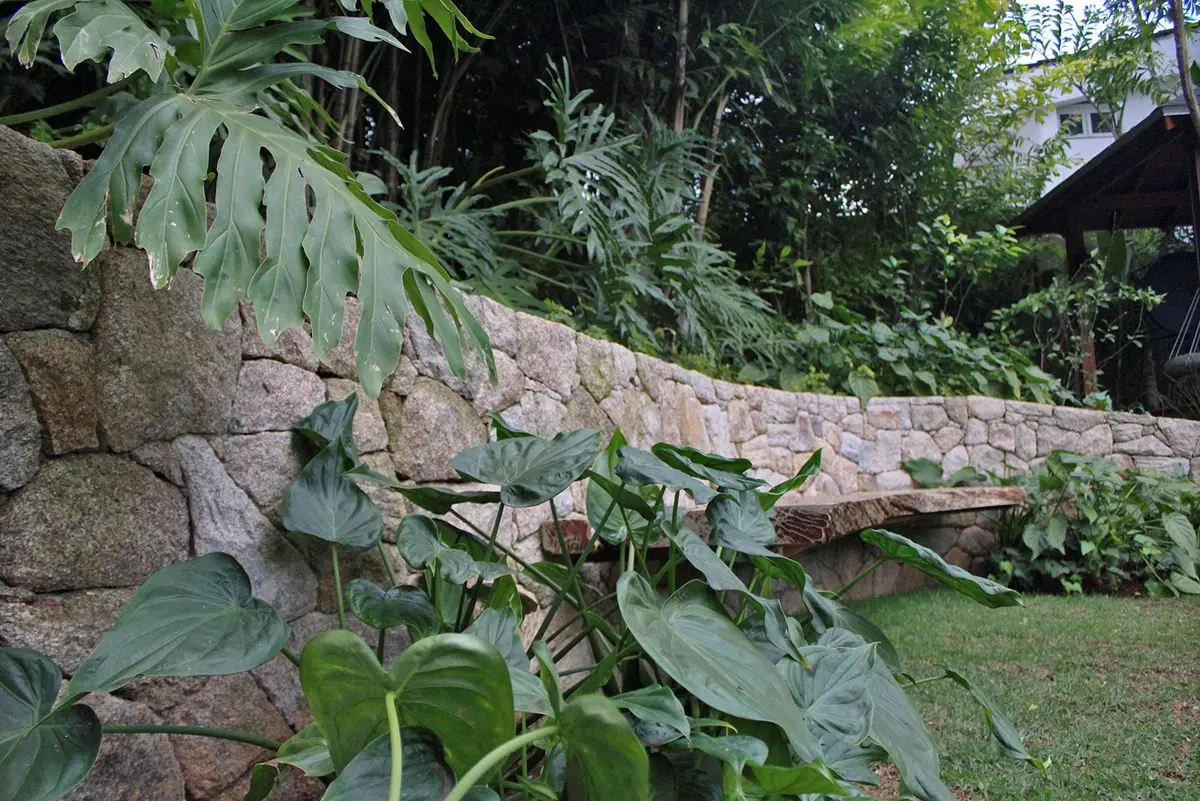 Patio con muro de piedra, plantas trepadoras y vegetacion exuberante — proyecto Residência JB, por Gil Fialho