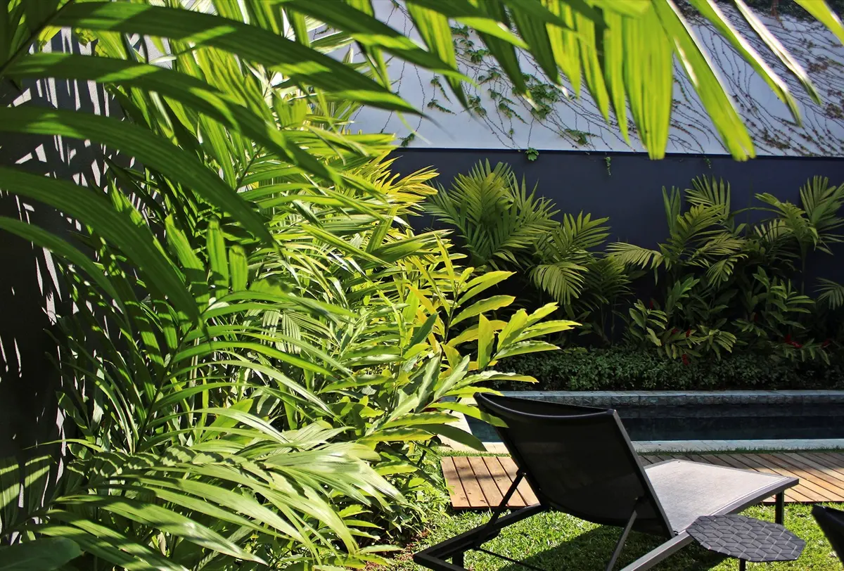 Terraza con sillón negro, deck de madera y plantas tropicales — proyecto Residência VT, por Gil Fialho