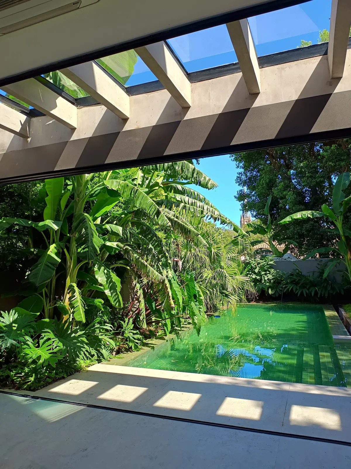Piscina moderna semi-exterior con vegetación exuberante y pérgola — proyecto San Isidro II_EA, por Eugenia Anaya -estudio de paisajismo-, en San Isidro