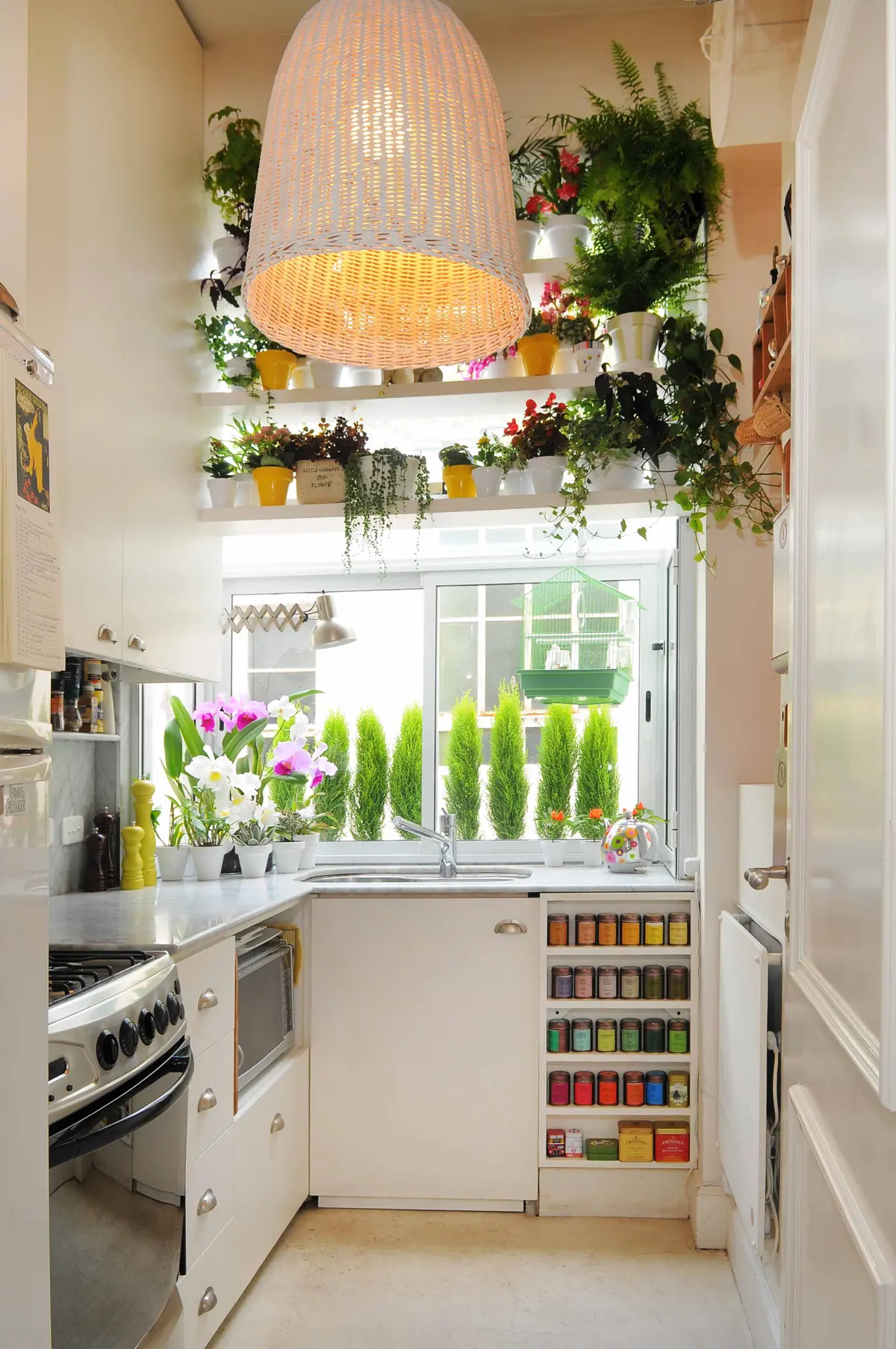 cozinha branca com muita luz e prateleiras de plantas — projeto Dpto Santa Fe, Recoleta, por Marconi Silva Arquitectos, em Recoleta