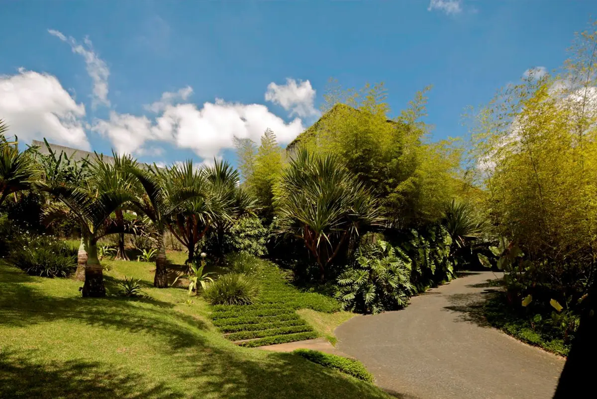 Camino serpenteante entre palmeras y arboles en jardin mediterraneo — proyecto Residência PU , por Gil Fialho