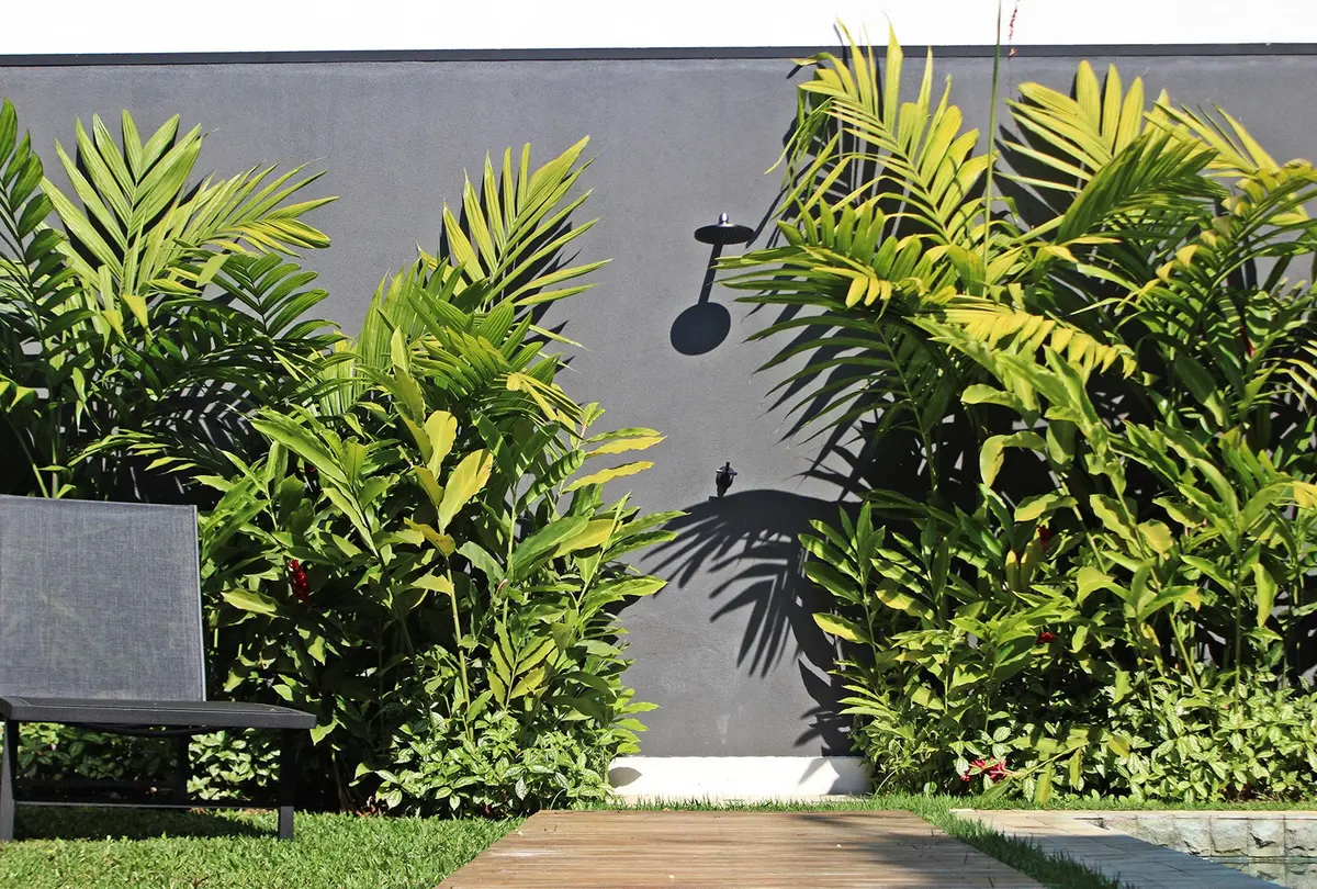 Patio moderno con jardineras verdes y pared gris de hormigón — proyecto Residência VT, por Gil Fialho