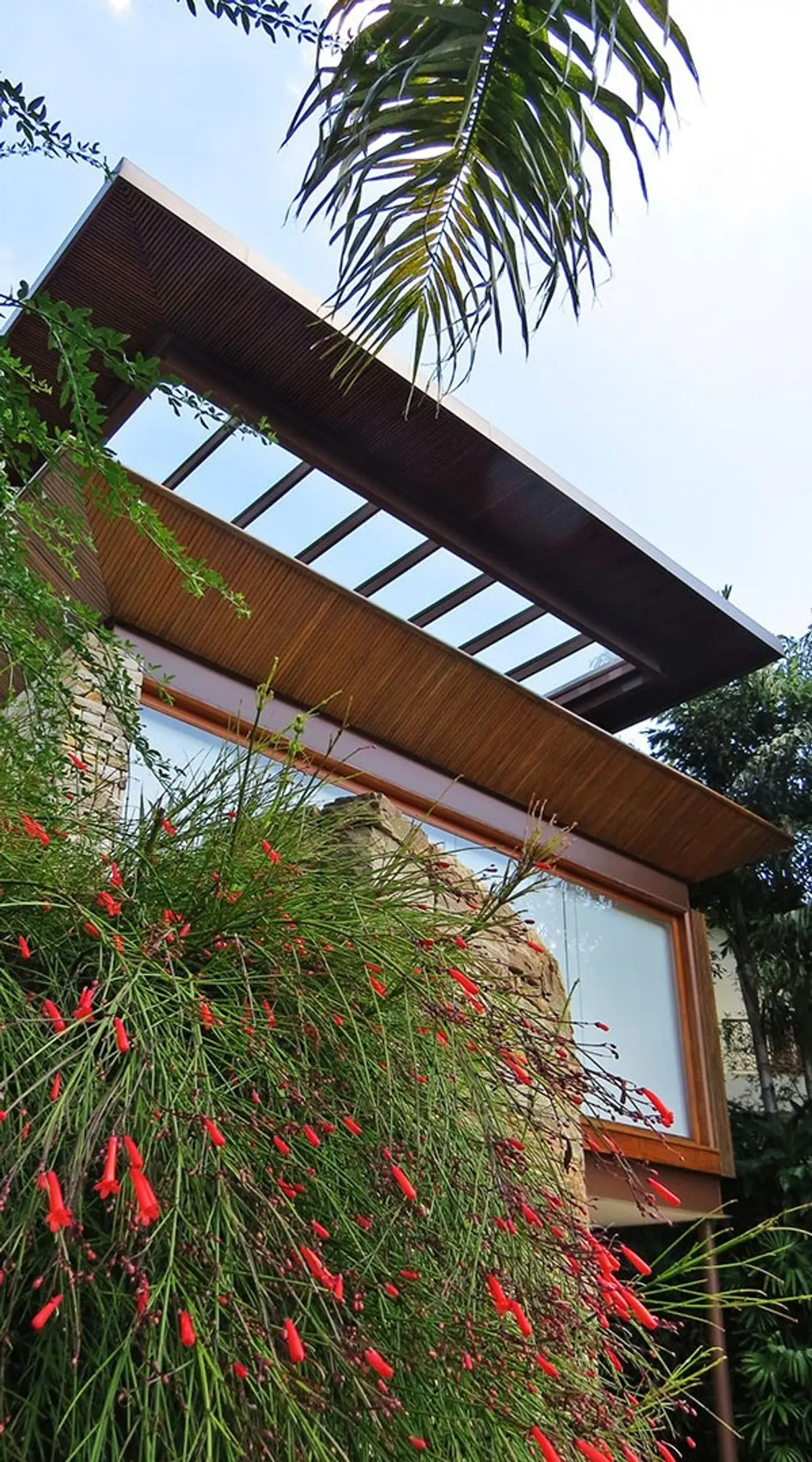 Pergola moderna con flores rojas y ventanal grande en patio — proyecto Residência MN, por Gil Fialho
