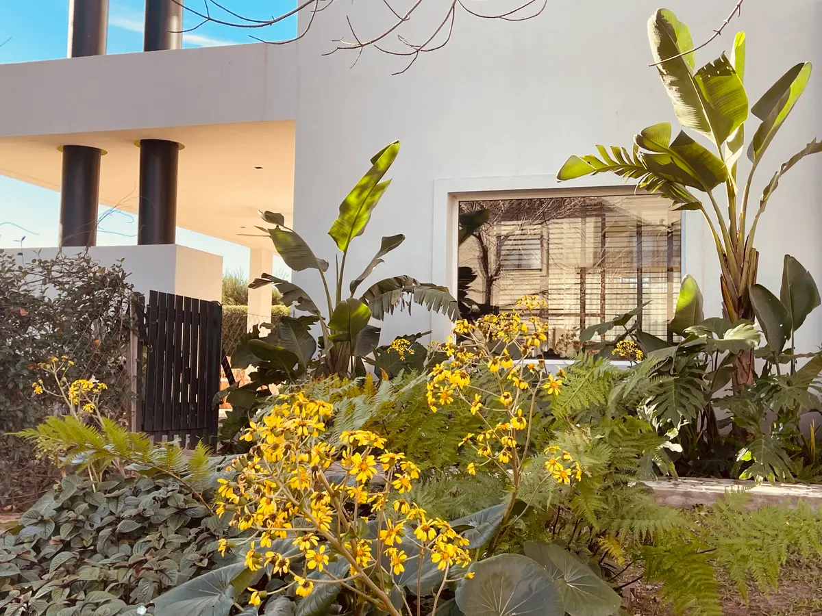 Fachada moderna de casa con vegetación exuberante y ventanas amplias — proyecto Ayres LG, por Baires Green, en San Isidro