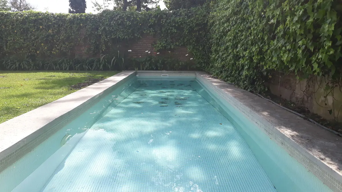 Pileta en jardín con pared verde exuberante — proyecto Obra Carlos Gardel, por Arq. Lourdes Yarade Saravia, en San Isidro