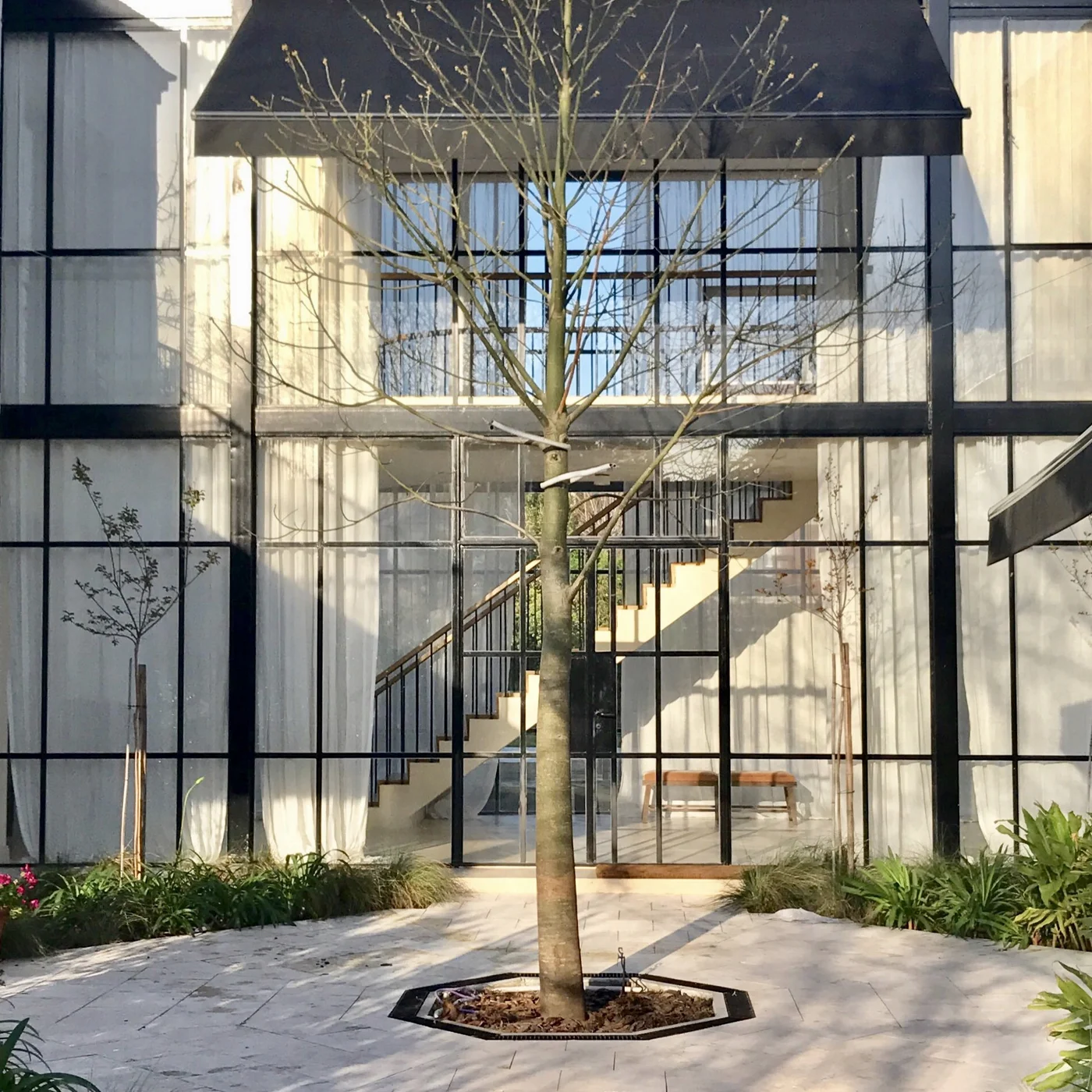 fachada moderna industrial con grandes ventanales y árbol central