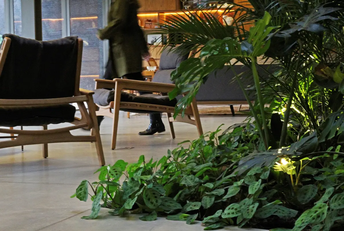 Pasillo moderno con plantas y sillas de diseño junto a ventanal — proyecto Residência MC, por Gil Fialho