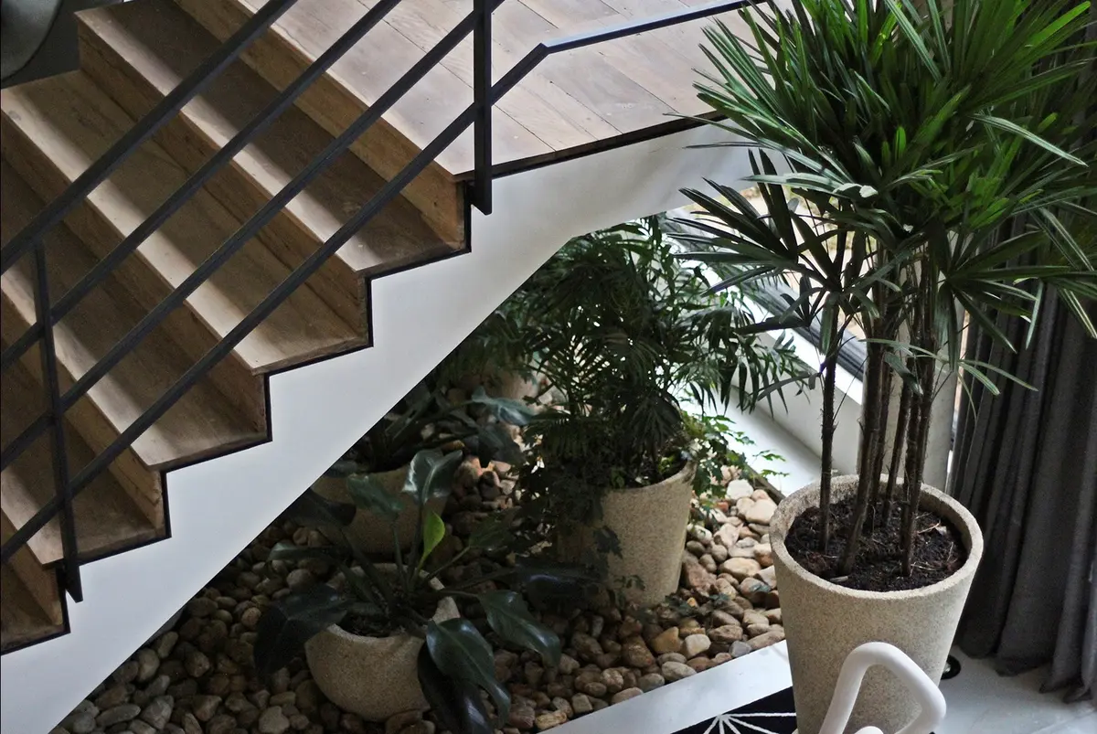 Escalera bajo doble altura con plantas en macetas y grava — proyecto Residência VT, por Gil Fialho