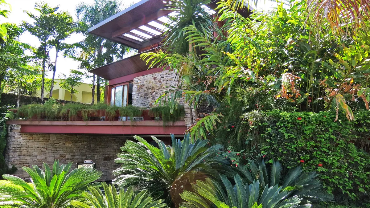 Patio moderno con pérgola, plantas tropicales y fachada de piedra — proyecto Residência MN, por Gil Fialho