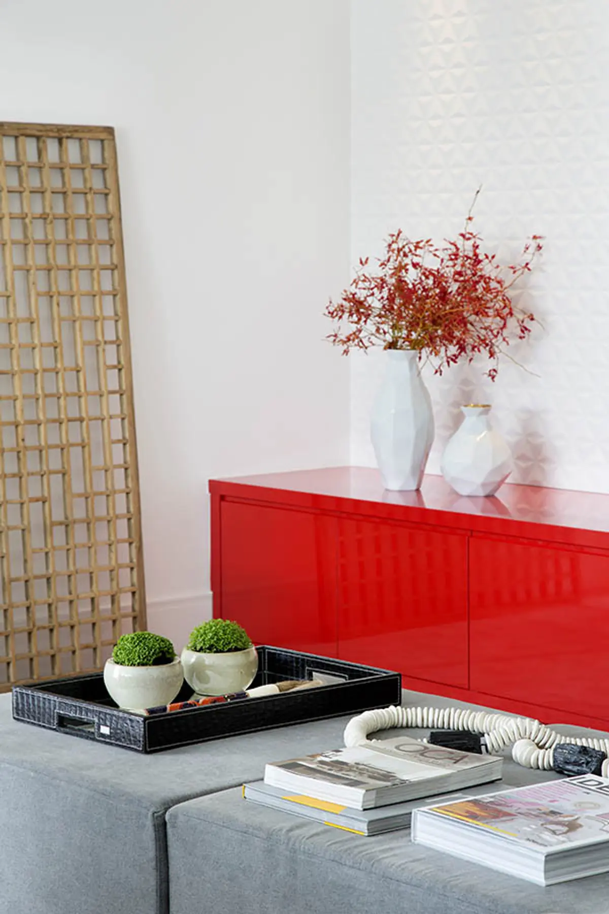 Living minimalista con mueble rojo, plantas secas y accesorios decorativos blancos — proyecto Casa Blue House, por Amanda Miranda
