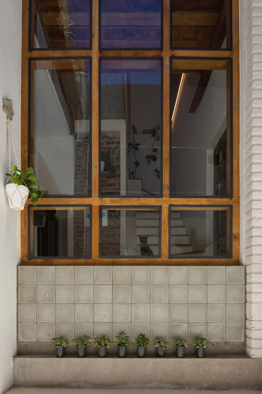 Foto del proyecto
