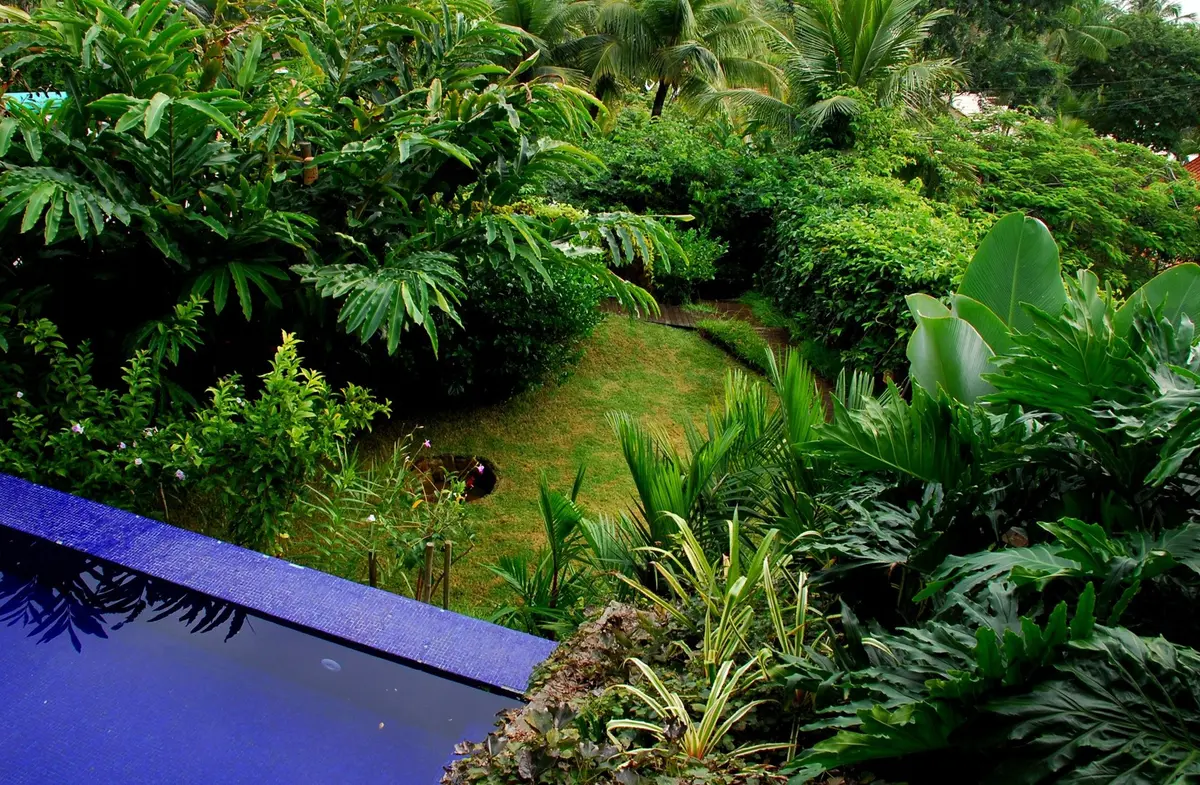 Pileta azul con jardín exuberante y vegetación tropical alrededor — proyecto Residência TH, por Gil Fialho