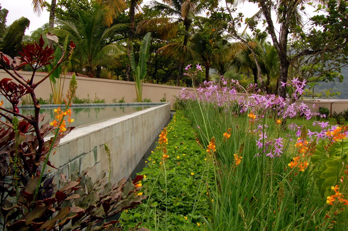 Jardin contemporaneo con flores purpuras, amarillas y muros hormigon — proyecto West Whales, por Gil Fialho