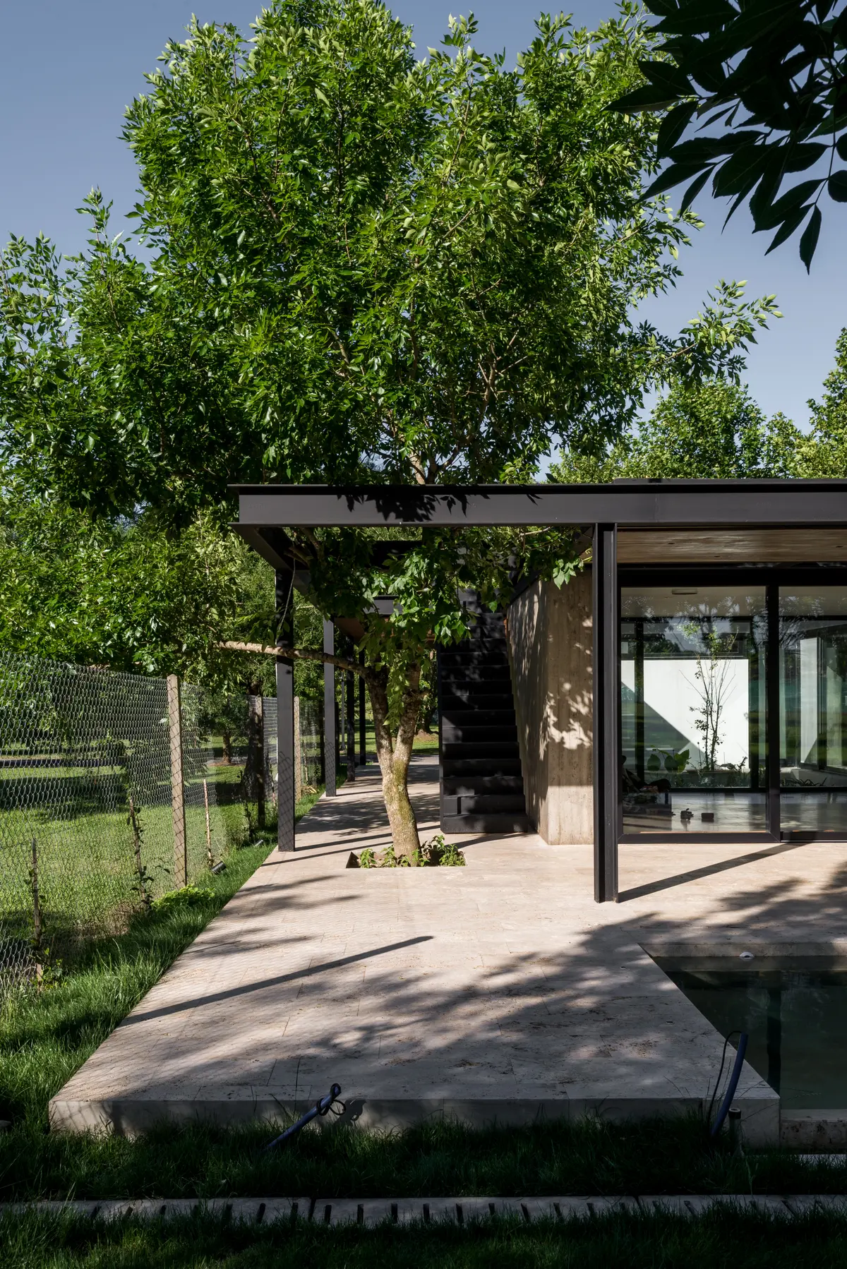 casa moderna com árvores integradas e fachada de vidro — projeto CASA AC, por BUSCETTI & DI BERNARDO arquitectas, em Villa Elisa