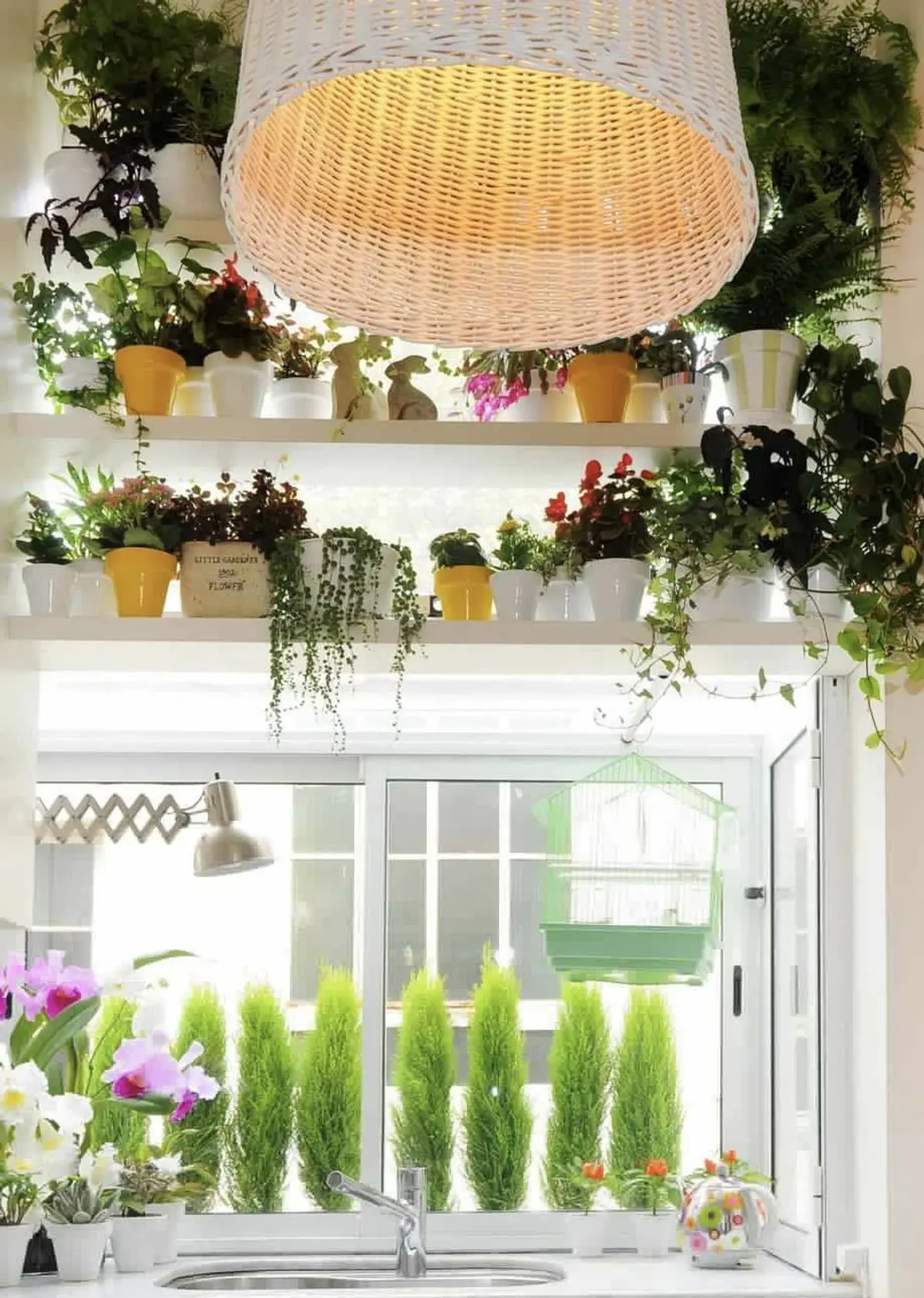 Cocina luminosa con plantas colgantes y estantes verdes junto ventana — proyecto Santa Fe, por Estudio Diez Muzzio, en CABA