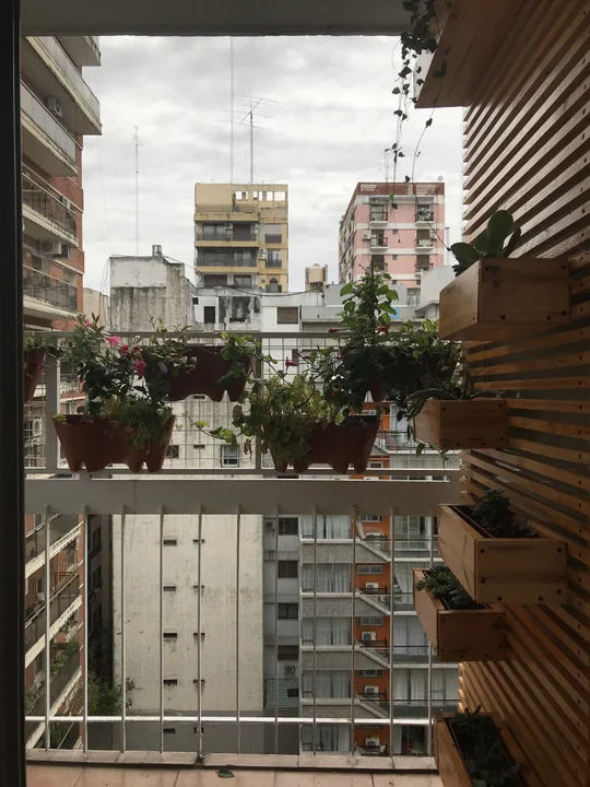 Foto del proyecto