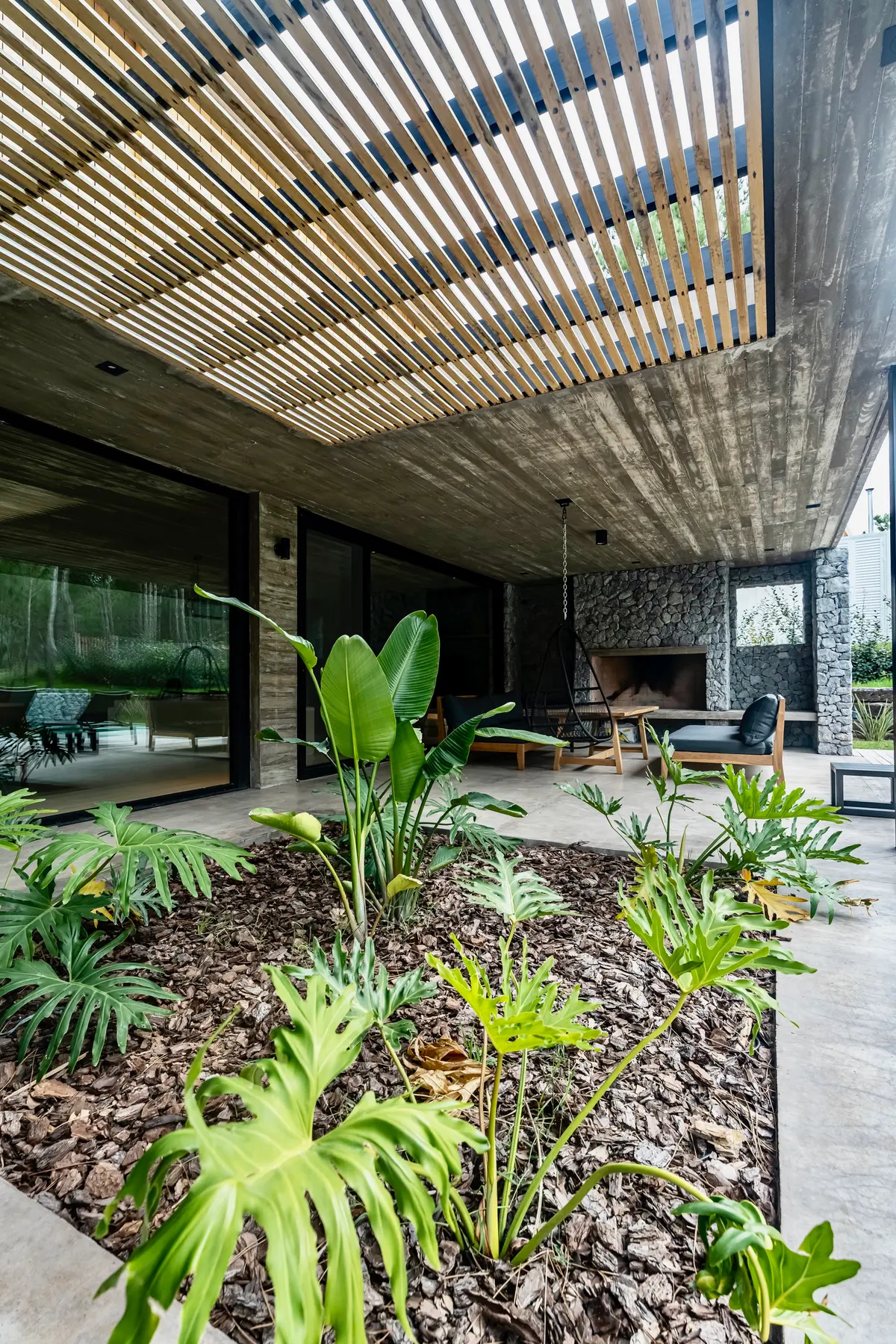 Pátio moderno com pérgola de madeira, concreto e vegetação exuberante — projeto casa la huella, por Guerrero Arquitectos, em Pinamar