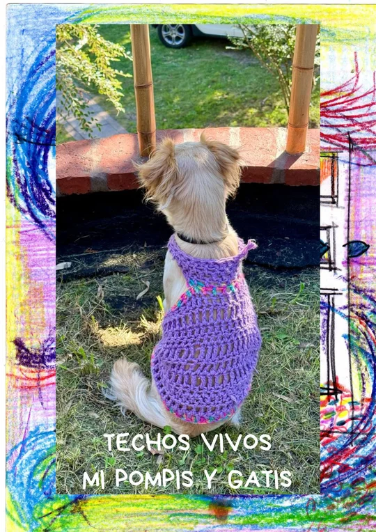 Foto del proyecto