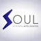Soul Hogares Inteligentes