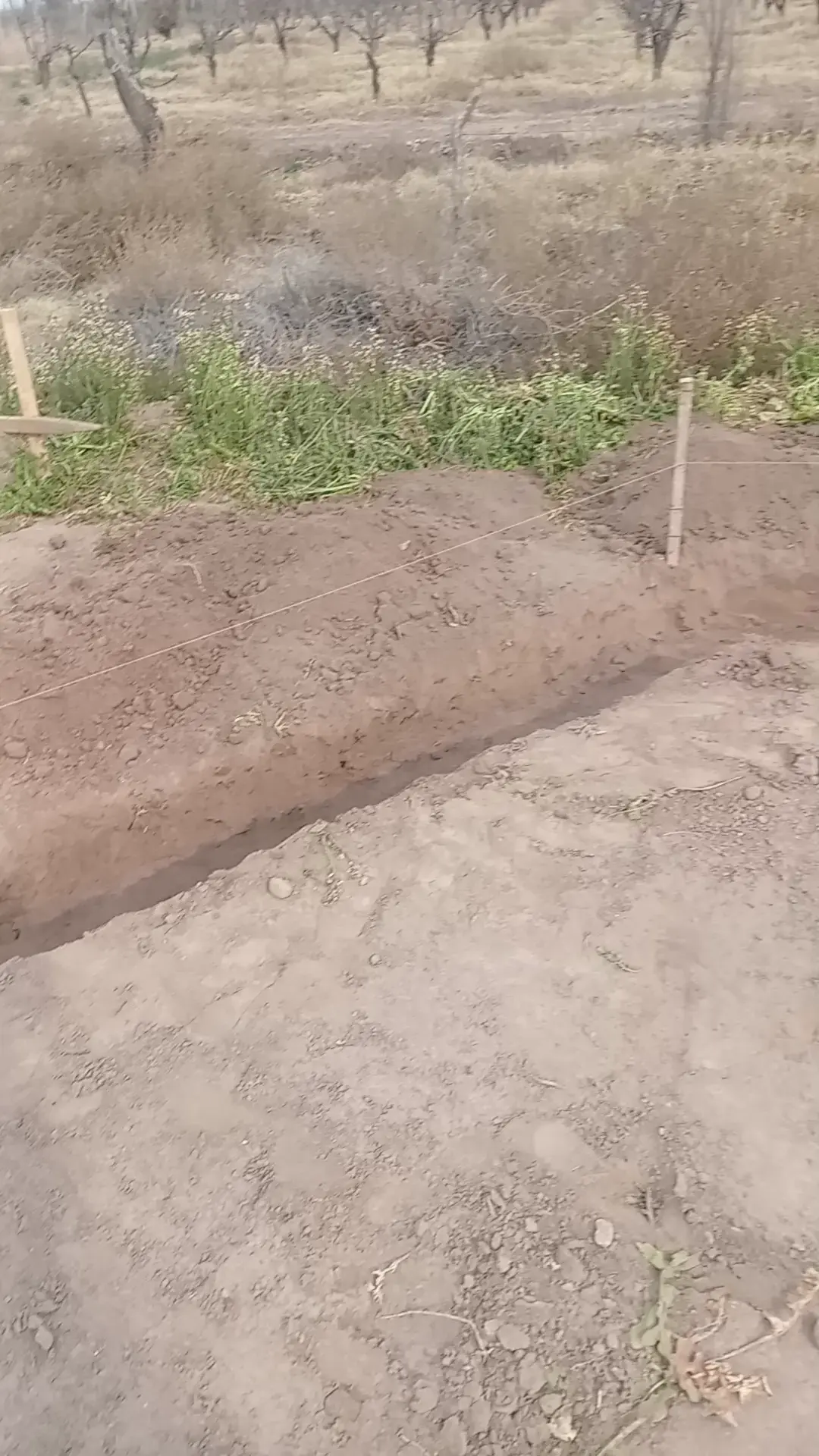 Video del proyecto