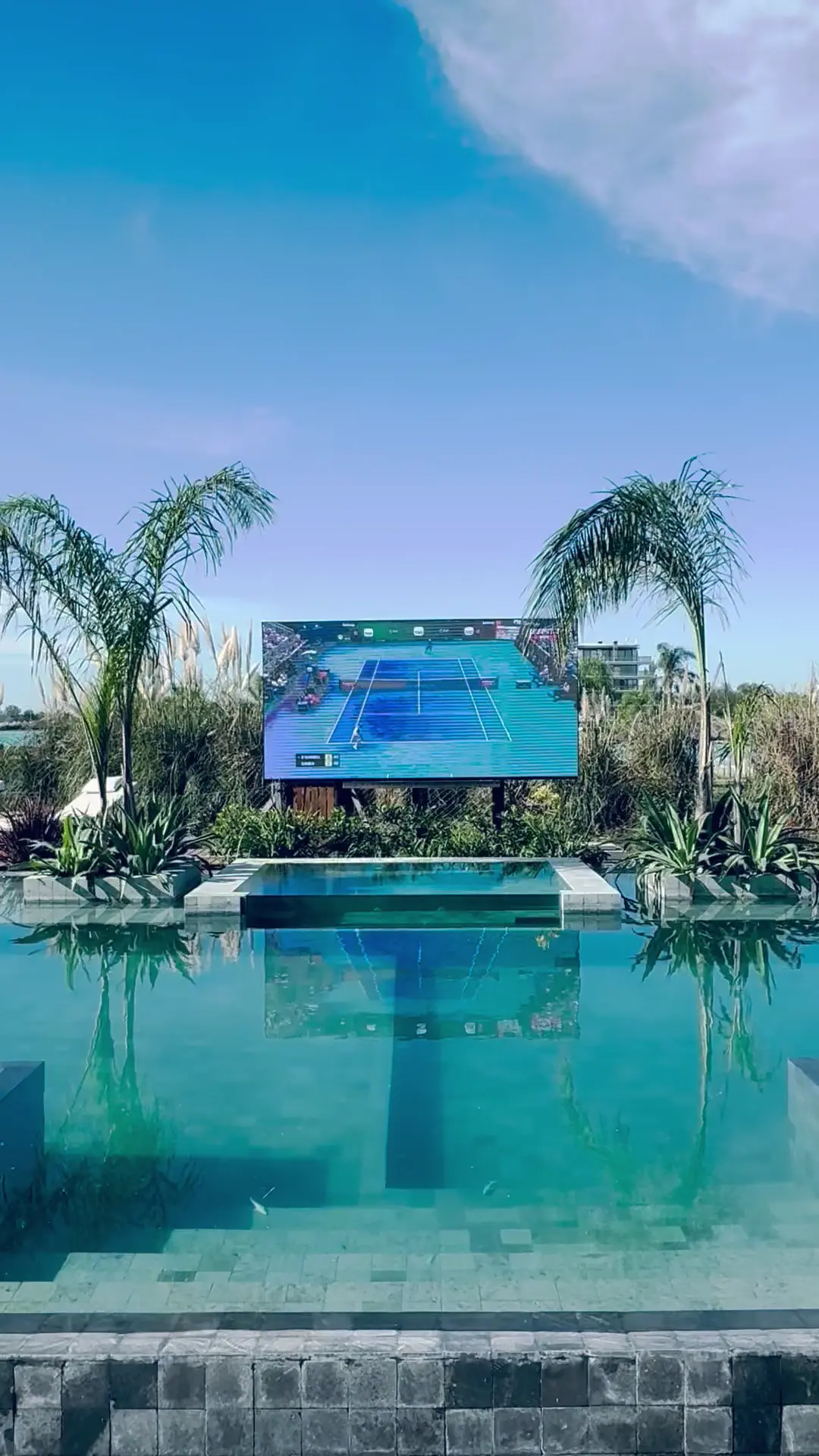 Pileta grande al aire libre con pantalla gigante y vegetación tropical — proyecto Casa Durazno, por FeelX Tecnología SRL, en Canning