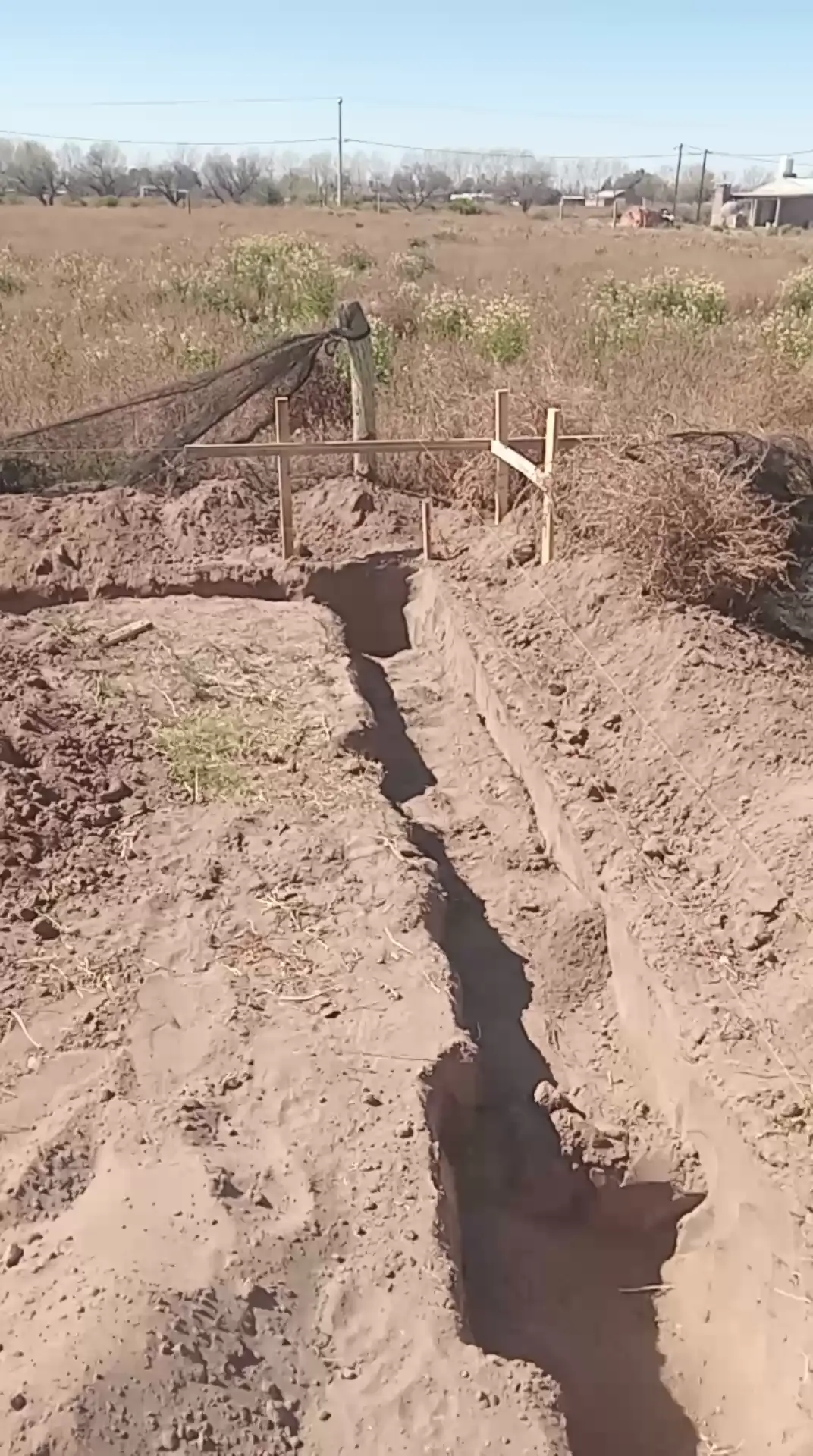 Video del proyecto
